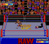 Скриншот игры WWF Raw